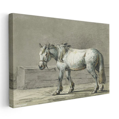 Beyaz Çiftlik Atı - Klasik Karakalem Portre Kanvas Tablo