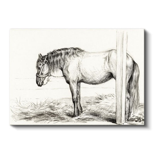 Bağlı At - Direğe Yaslanmış Çiftlik Hayvanı Kanvas Tablo