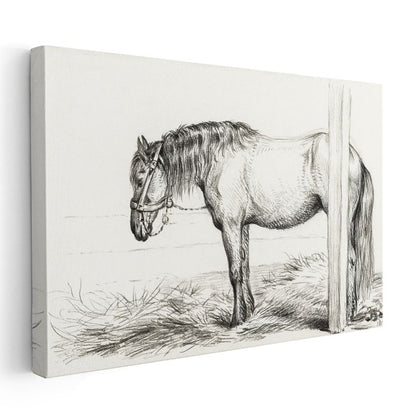 Bağlı At - Direğe Yaslanmış Çiftlik Hayvanı Kanvas Tablo