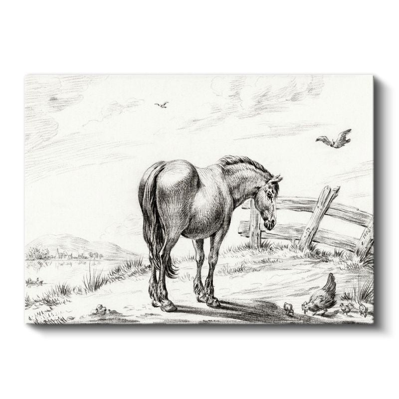 Kır Atı - Tavuklar Eşliğinde Sakin Duruş Kanvas Tablo