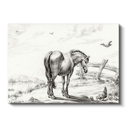 Kır Atı - Tavuklar Eşliğinde Sakin Duruş Kanvas Tablo