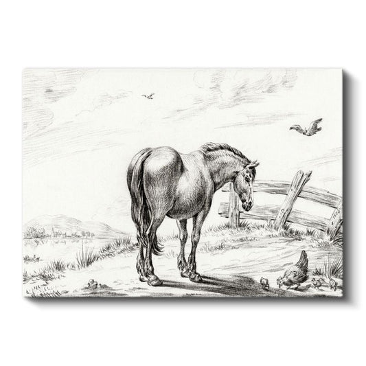 Kır Atı - Tavuklar Eşliğinde Sakin Duruş Kanvas Tablo