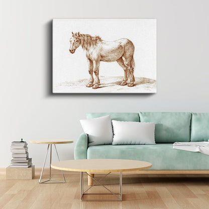 Çiftlik Midillisi - Klasik Karakalem Portre Kanvas Tablo