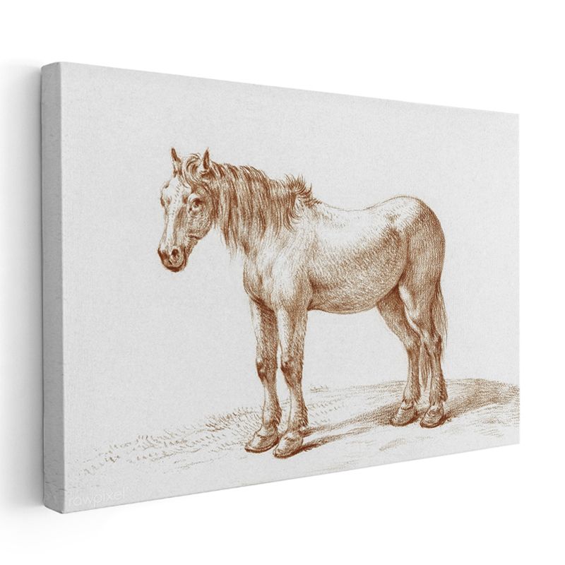 Çiftlik Midillisi - Klasik Karakalem Portre Kanvas Tablo