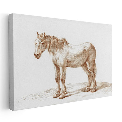 Çiftlik Midillisi - Klasik Karakalem Portre Kanvas Tablo