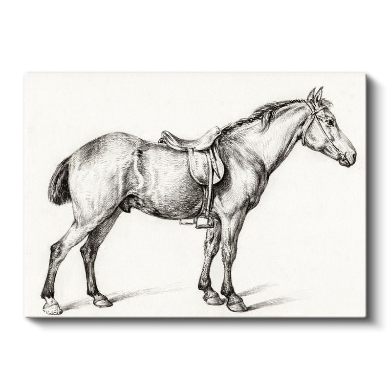 Eyerli At - Binicilik Ekipmanıyla Hazır Duruş Kanvas Tablo