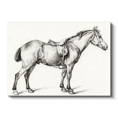 Eyerli At - Binicilik Ekipmanıyla Hazır Duruş Kanvas Tablo