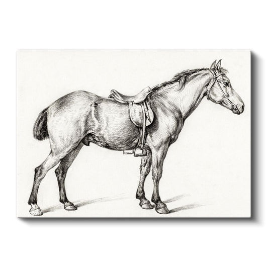 Eyerli At - Binicilik Ekipmanıyla Hazır Duruş Kanvas Tablo