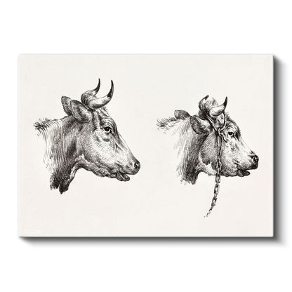 İnek Portreleri - Çift Başlı Çiftlik Hayvanı Kanvas Tablo