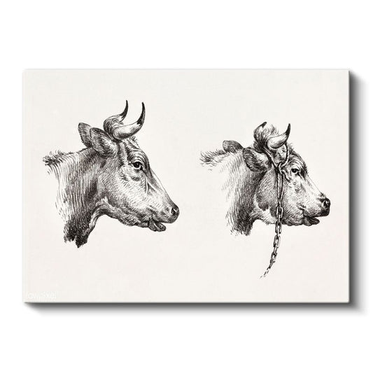 İnek Portreleri - Çift Başlı Çiftlik Hayvanı Kanvas Tablo