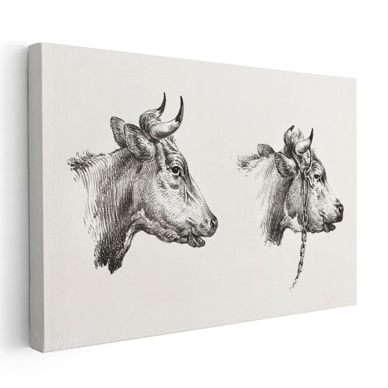 İnek Portreleri - Çift Başlı Çiftlik Hayvanı Kanvas Tablo