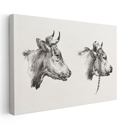 İnek Portreleri - Çift Başlı Çiftlik Hayvanı Kanvas Tablo