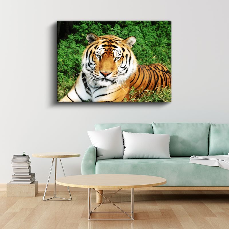 Bengal Kaplanı - Yeşil Otlakta Dinlenen Yırtıcı Kanvas Tablo
