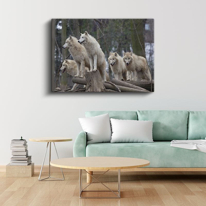Kutup Kurtları - Sürü Halinde Vahşi Yaşam Kanvas Tablo