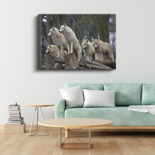 Kutup Kurtları - Sürü Halinde Vahşi Yaşam Kanvas Tablo