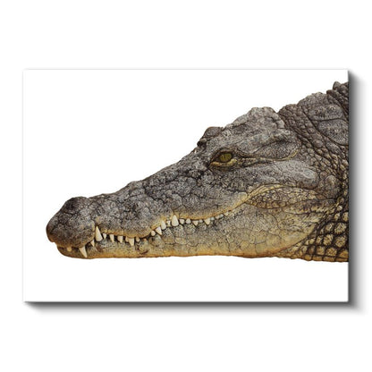 Timsah Portresi - Keskin Dişli Sürüngen Kanvas Tablo