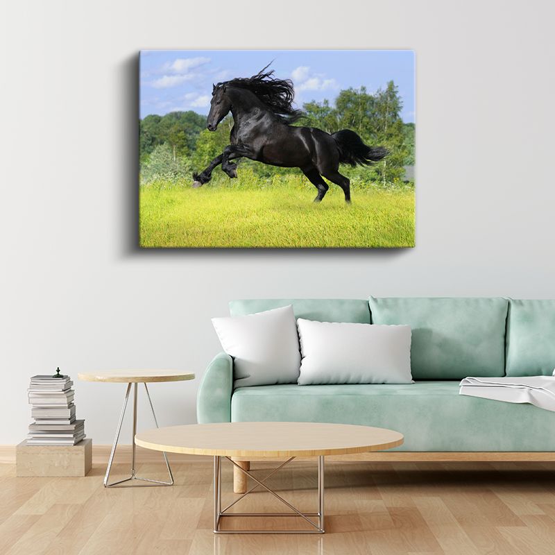 Siyah Aygır - Çayırda Özgür Koşu Kanvas Tablo