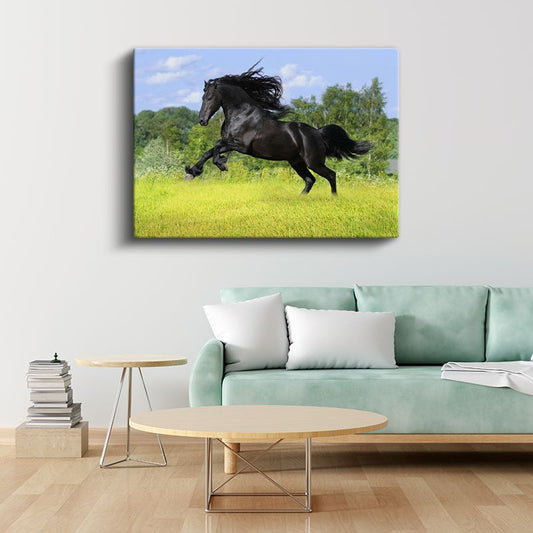 Siyah Aygır - Çayırda Özgür Koşu Kanvas Tablo