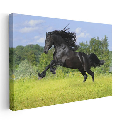 Siyah Aygır - Çayırda Özgür Koşu Kanvas Tablo