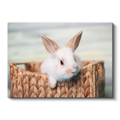 Sepet İçindeki Tavşan - Sevimli Beyaz Kemirgen Kanvas Tablo