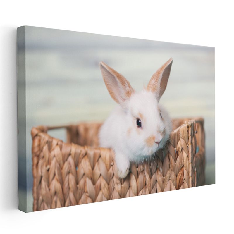 Sepet İçindeki Tavşan - Sevimli Beyaz Kemirgen Kanvas Tablo