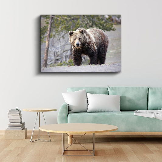Boz Ayı - Vahşi Doğada Güçlü Duruş Kanvas Tablo