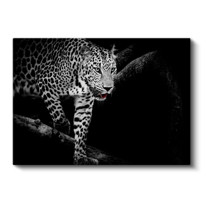 Karanlıktaki Leopar - Gece Avcısı Yırtıcı Kedi Kanvas Tablo