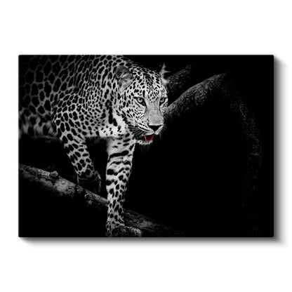 Karanlıktaki Leopar - Gece Avcısı Yırtıcı Kedi Kanvas Tablo