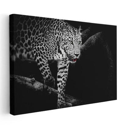 Karanlıktaki Leopar - Gece Avcısı Yırtıcı Kedi Kanvas Tablo