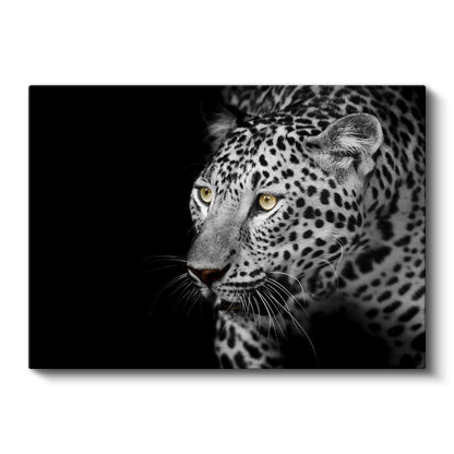 Leopar Portresi - Sarı Gözlü Siyah Beyaz Kanvas Tablo