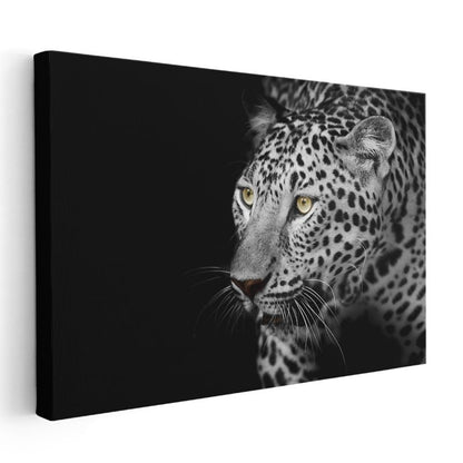 Leopar Portresi - Sarı Gözlü Siyah Beyaz Kanvas Tablo