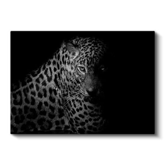 Gölgedeki Leopar - Karanlıkta Pusuya Yatan Avcı Kanvas Tablo