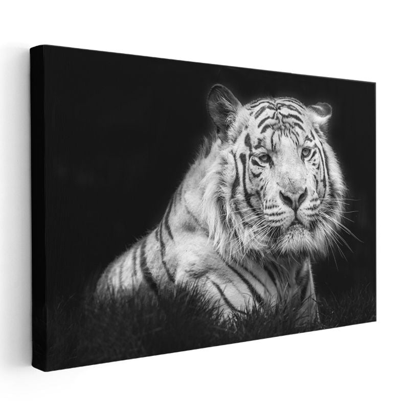 Beyaz Kaplan - Asil Duruşlu Nadir Tür Kanvas Tablo