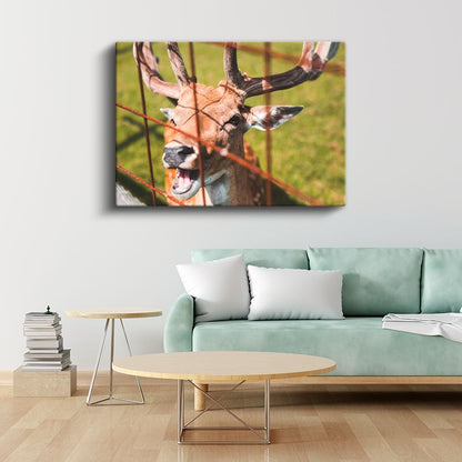 Boynuzlu Geyik - Çit Arkasından Meraklı Bakış Kanvas Tablo