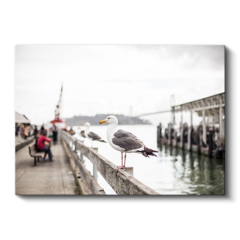 Liman Martısı - Deniz Kuşu Portresi Kanvas Tablo