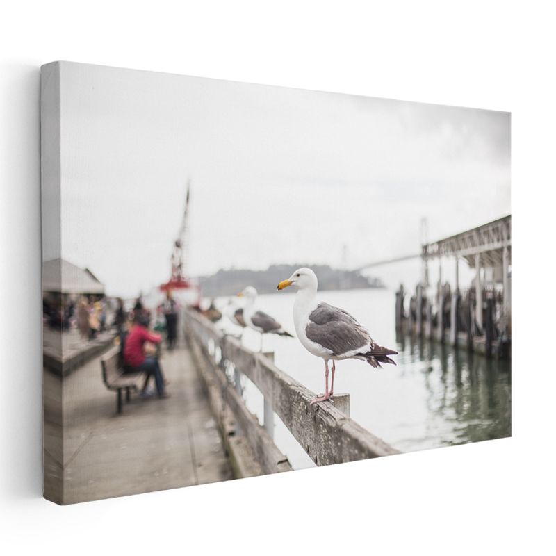 Liman Martısı - Deniz Kuşu Portresi Kanvas Tablo