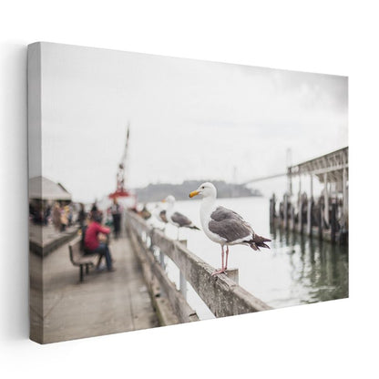 Liman Martısı - Deniz Kuşu Portresi Kanvas Tablo