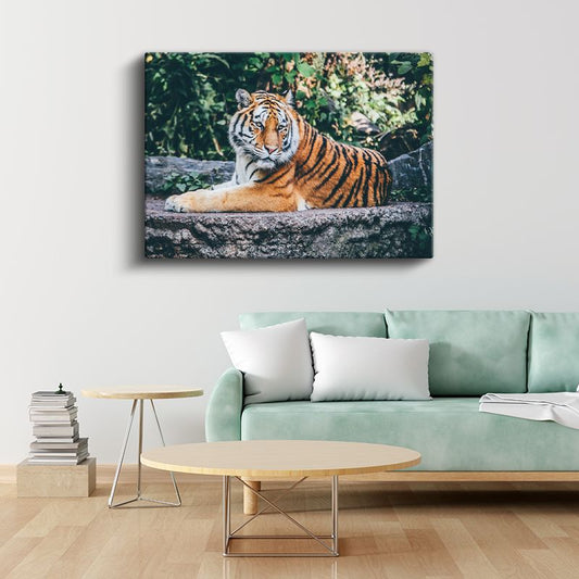 Bengal Kaplanı - Taş Üzerinde Dinlenen Yırtıcı Kanvas Tablo