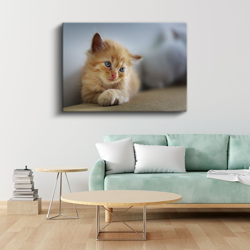 Kedi Yavrusu - Mavi Gözlü Minik Dostumuz Kanvas Tablo