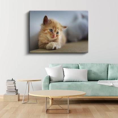 Kedi Yavrusu - Mavi Gözlü Minik Dostumuz Kanvas Tablo