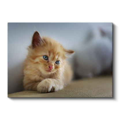 Kedi Yavrusu - Mavi Gözlü Minik Dostumuz Kanvas Tablo