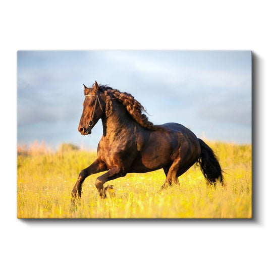 Kahverengi Aygır - Sarı Çayırda Özgür Koşu Kanvas Tablo