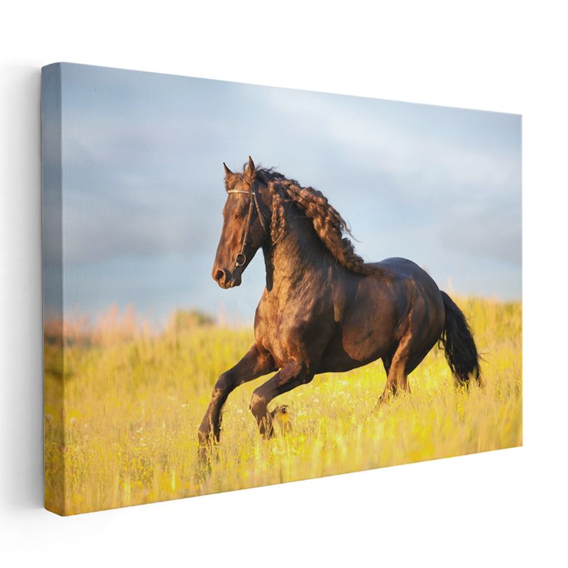 Kahverengi Aygır - Sarı Çayırda Özgür Koşu Kanvas Tablo