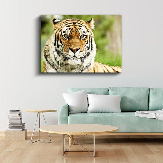 Bengal Kaplanı - Keskin Bakışlı Yırtıcı Portresi Kanvas Tablo