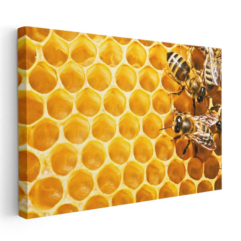Bal Arıları - Petek Üzerinde Çalışkan İşçiler Kanvas Tablo