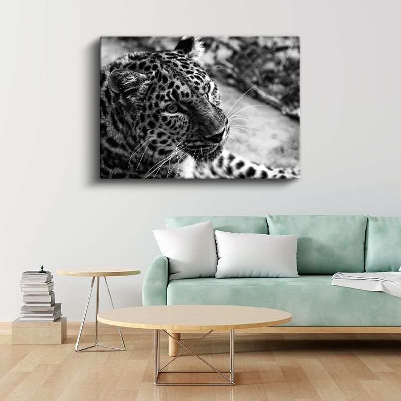 Leopar Portresi - Siyah Beyaz Vahşi Kedi Kanvas Tablo