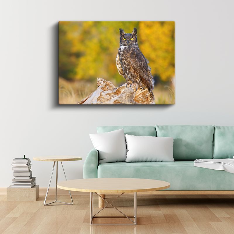 Puhu Baykuşu - Sarı Gözlü Gece Avcısı Kanvas Tablo