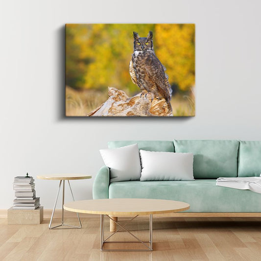 Puhu Baykuşu - Sarı Gözlü Gece Avcısı Kanvas Tablo