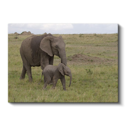 Anne ve Yavru Fil - Doğada Sevgi Bağı Kanvas Tablo