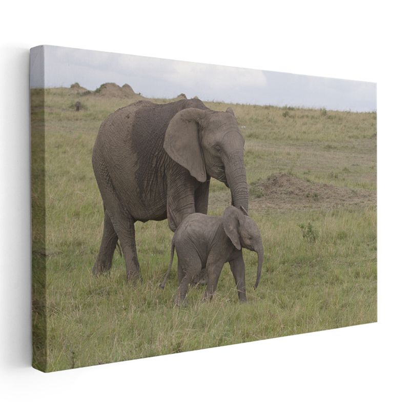 Anne ve Yavru Fil - Doğada Sevgi Bağı Kanvas Tablo